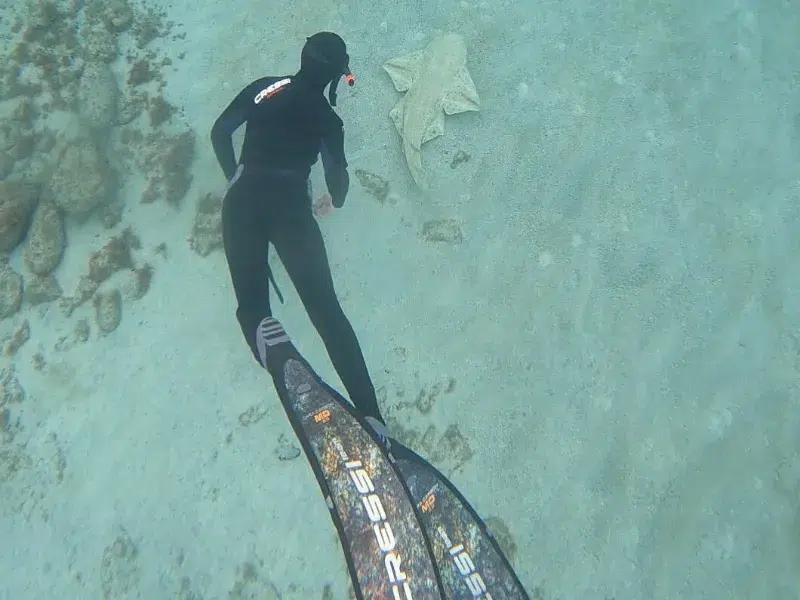 freediving lanzarote with manta