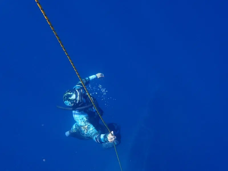 freediving lanzarote rope
